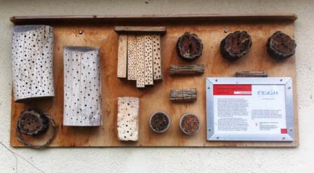 Insect homes